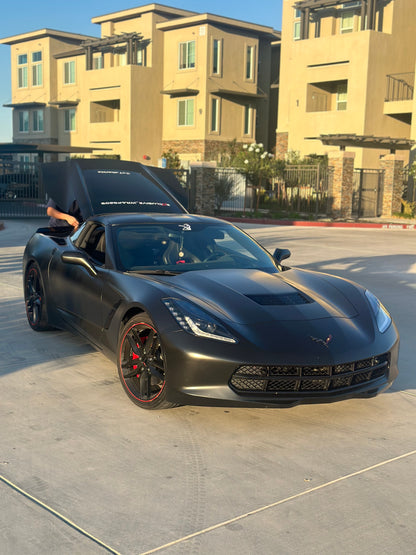 Bert The Bird Palm sticker. 4"x4"