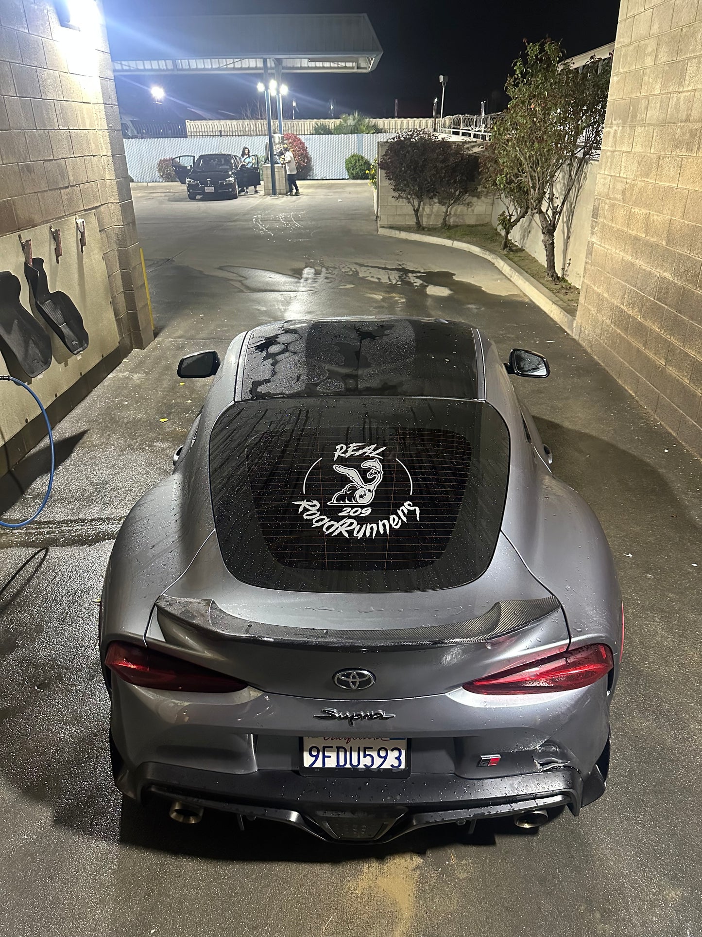 Rear Window Member decal