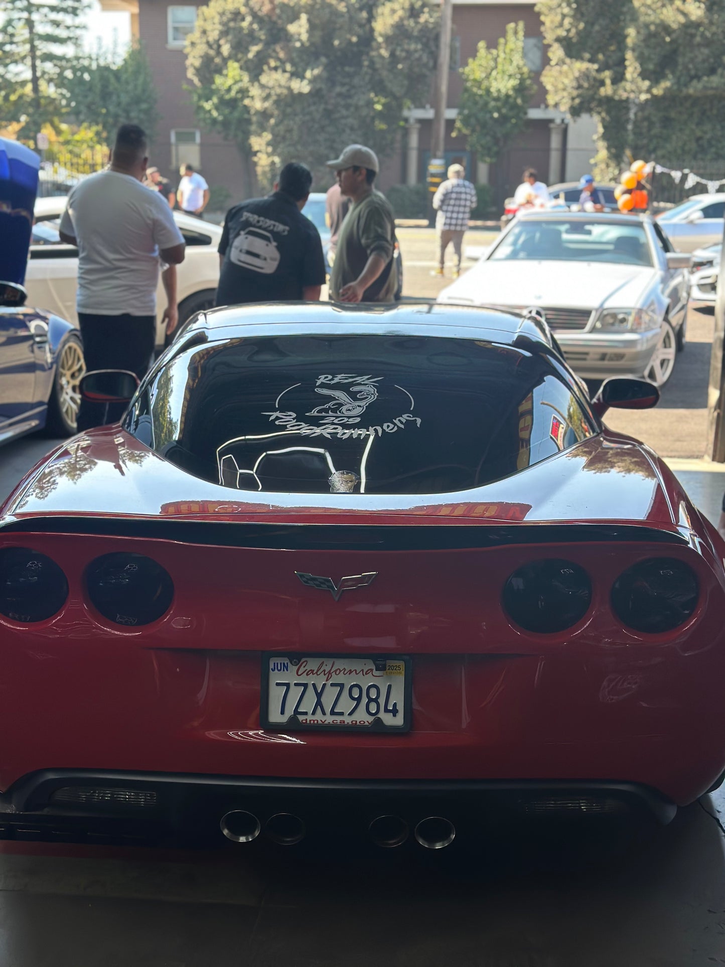 Rear Window Member decal